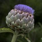 5c8b3c2a2300005400e7e30e