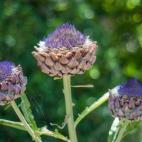 5c8b3c2a2300000401246d1e