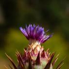 5c8b3c2a360000ba1a6cc6c7