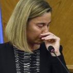 5c8b13442400004205a40734