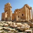 5c8b137b230000d504240c71