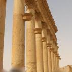 5c8b137c3b000072066ce9d3