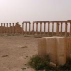 5c8b137c2400006d054ccaee