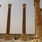 5c8b137d24000093024ccaf2