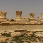 5c8b137d24000093024ccaf4