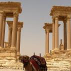 5c8b137e3b000072066ce9d5