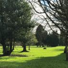 En Bute Park, en el coraz&oacute;n de la ciudad, se pueden encontrar miles de &aacute;rboles y metros de c&eacute;sped a orillas del Taff. Dar un agradable paseo entre plantas, aves y ardillas, y disfrutar de peque&ntilde;os rincones donde ...