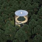 5c8b0cd7240000f7054cbe14