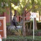 5c8b0d962400004205a3fbf4