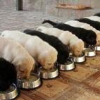 5c8a6cdc25000052068120fe