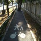 5c8a6cdc360000c81a6b7623