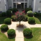 5c8a6cdf260000ea04fe5553