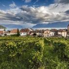 Es la capital del distrito Lavaux-Oron, en los bordes del lago Lemán. Múltiples senderos permiten perderse entre los viñedos de la zona. Ver más fotos de Cully.