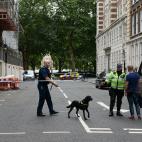 5c8a68e12000009e046f1ef8