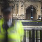 5c8a68e5250000e203c90273