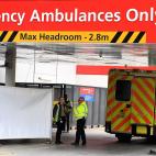 5c8a68ea260000e804fe504c