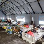 5c8a63f4260000e104fe49fc