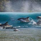 Geo Cloete, Sudáfrica