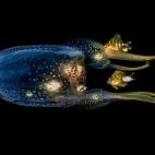 Stefan Follows, Tailandia