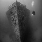 Dmitry Vinogradov, Rusia