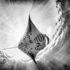 Marco Gargiulo, Italia