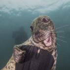 Nick Blake, Reino Unido