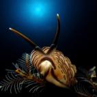 Ajiex Dharma, Indonesia