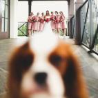 "¡Yo solo quería saludar!"