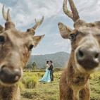 Cuernos no, por favor.