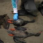 61fa6fd2250000d1162b0fbf