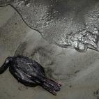 61fa612e2c0000aa1cdf5fcc