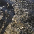 61fa61542c0000c714df5fd0