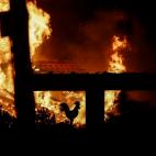 5c8a5bff23000004012301dd