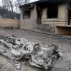 5c8a5c0136000006186b61b8