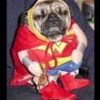 ¿¡Qué le pasó a la cara de la Mujer Maravilla!? (Via Clara The Cool)