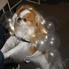 Ella sencillamente "nació de esta manera".