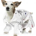 ¿Cómo dejar afuera el tradicional disfraz de Elvis Presley durante esta temporada?