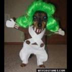 Un travieso personaje de la película Charlie and the Chocolate Factory. (via WTF Costumes)