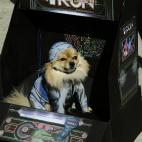 El nuevo Tron en acción. (via Reddit)