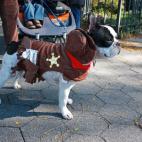 Que no cunda el pánico... el aguacil llegó para protegernos. Flickr: istolethetv