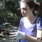 5c8a59e6260000ea04fe3e7c