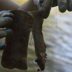 5c8a59e7230000dd0422ffc4