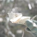 5c8a59e72400004205a2fa1b