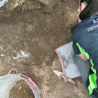 5c8a557c360000c81a6b5902