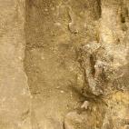 5c8a557d2300007f0122f941