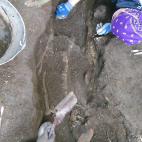 5c8a557d2400006d054bba8b