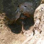 5c8a557d260000e804fe385d