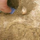 5c8a557e230000d50422f943