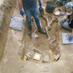 5c8a558020000045046f0773