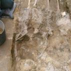 5c8a5581260000ea04fe386b